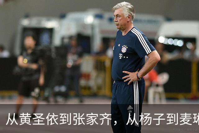 从黄圣依到张家齐，从杨子到麦琳，捅了NPD的窝