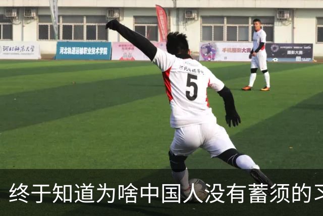 终于知道为啥中国人没有蓄须的习惯了!评论区剖析一针见血,太精辟